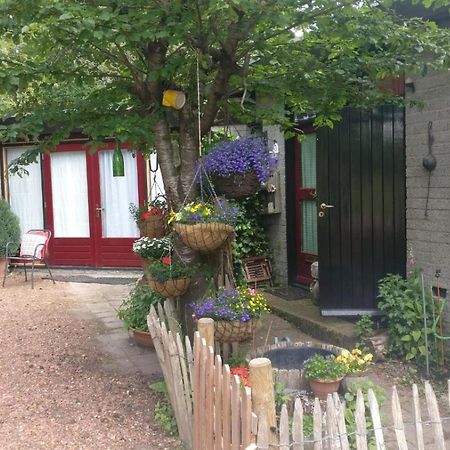 Bed And Breakfast Het Oude Bos Wijnjewoude Exterior photo