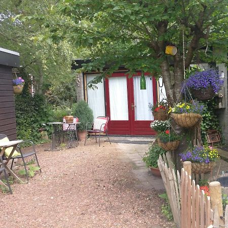 Bed And Breakfast Het Oude Bos Wijnjewoude Exterior photo